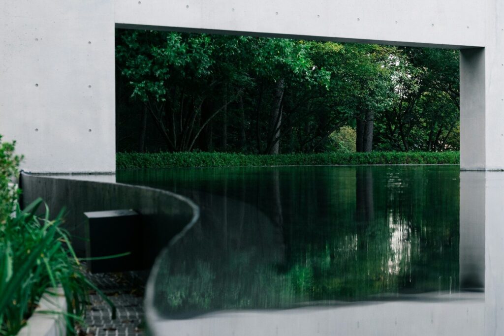 Modern architecture with serene water feature and lush greenery